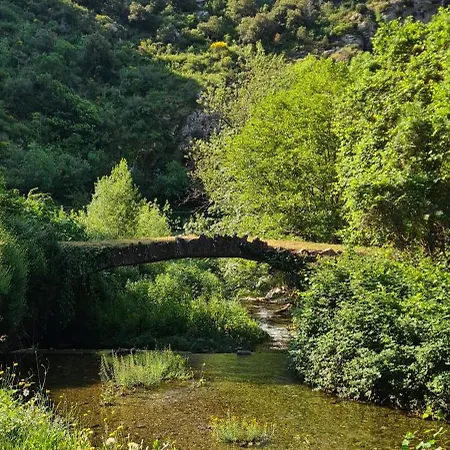 Daire Au Pont